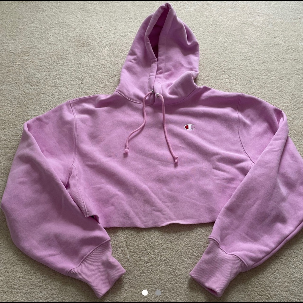 Champion Reverse Weave Hoodie Cropped Sweater